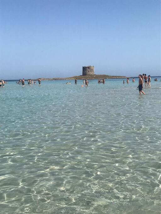 Casa Vacanze Stelle Marine Viddalba Exteriér fotografie